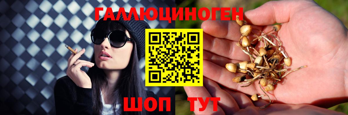 Псилоцибиновые грибы MAGIC MUSHROOMS Новый Уренгой